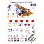 Wall chart - The Eye - , LxW 100x70 cm