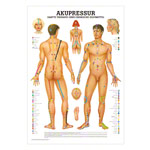 Wall chart - acupressure - LxW 100x70 cm