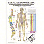 Wall chart - meridians and thorn - , LxW 100x70 cm