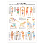 Wall chart - stretching I - , LxW 100x70 cm
