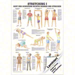Wall chart - stretching I - , LxW 100x70 cm