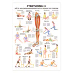 Wall chart - stretching III - , LxW 100x70 cm