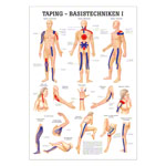 Wall chart - taping-basic techniques I - , LxW 100x70 cm