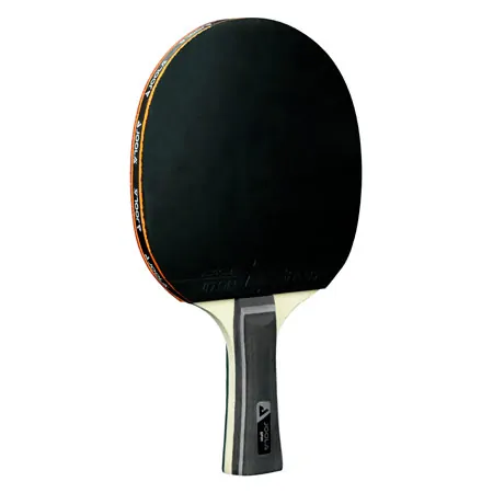 JOOLA table tennis set ROLLNET SPIN, 2 TT bats + 2 TT balls + 1 TT net