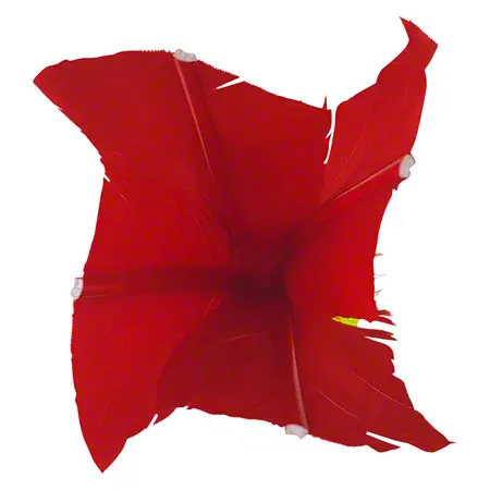 Throwing game Indiaca tournament, 45 g
