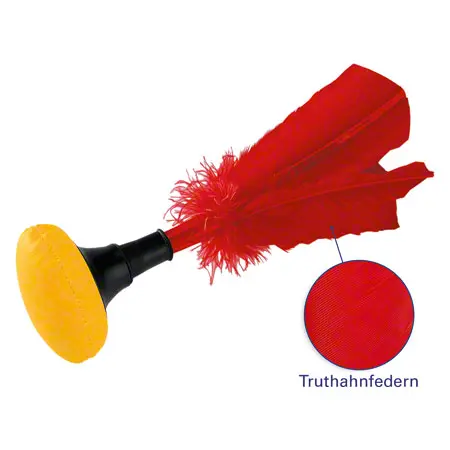 Throwing game Indiaca tournament, 45 g