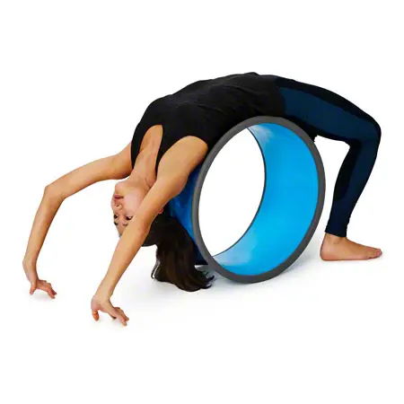 Body Wheel Large,  59 cm