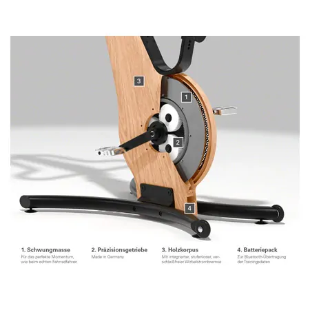 NOHrD bike ergometer ash-tree