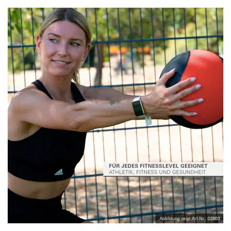 Sport-Tec medicine ball set 5 pcs., 1-5 kg
