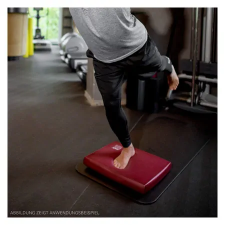 AIREX gymnastic mat Fitline Studio 100, LxWxH 100x50x1 cm