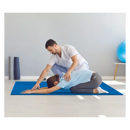 AIrEX Exercise Mat Hercules, LxWxH 200x100x2.5 cm
