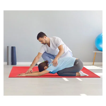 AIREX gymnastic mat Atlas, LxWxH 200x125x1.5 cm