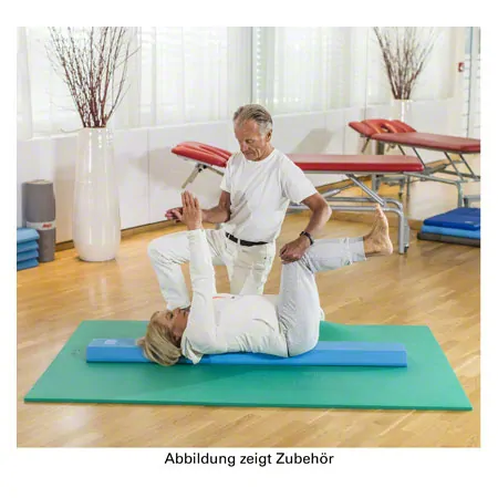 AIREX gymnastic mat Atlas, LxWxH 200x125x1.5 cm