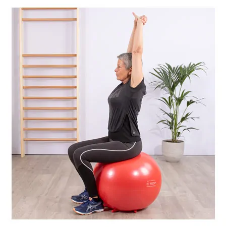 Sit'n Gym sitting ball,  55 cm, red