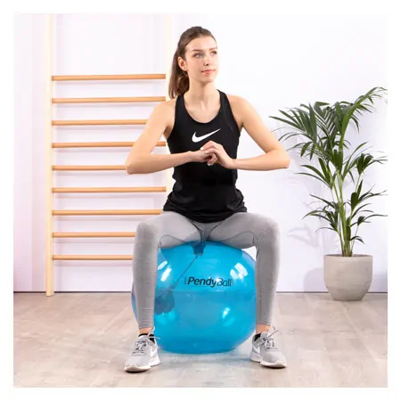 PEZZI exercise ball PendyBall, 4 kg pendulum,  65 cm, blue