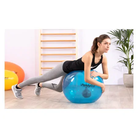 PEZZI exercise ball PendyBall, 4 kg pendulum,  65 cm, blue