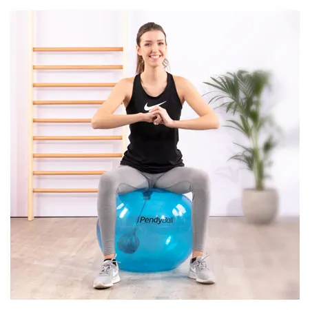 PEZZI exercise ball PendyBall, 4 kg pendulum,  75 cm, blue