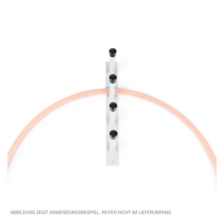 Suspension equipment for gymnastics hoop