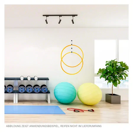 Suspension equipment for gymnastics hoop