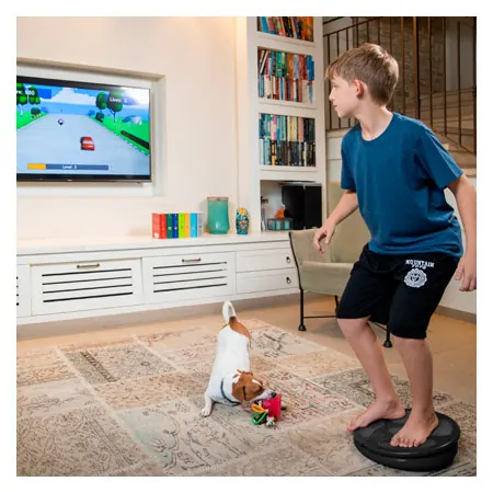BoBo balance board  Home 2.0