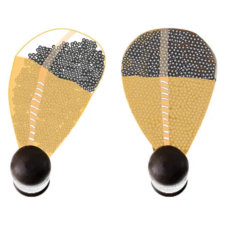 NOHrD Swing Dumbbell nut tree, 8 kg