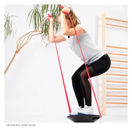Sport-Tec Balance Board with handles,  40 cm