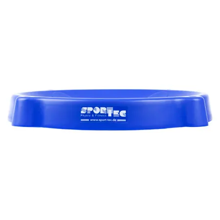 Ball holder for exercise balls