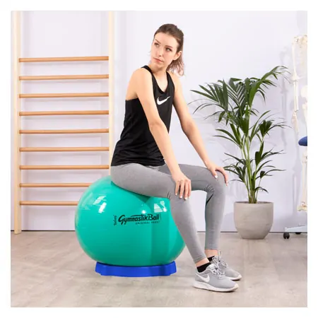 Ball holder for exercise balls