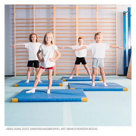 Lightweight gym mat with leather corners, 150x100x6 cm