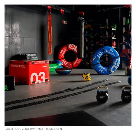 PAVIGYM sidebar for Performance+, 100x10x0,5 cm