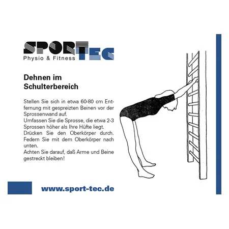 Wall bars according to DIN, WxH 200x260 cm, 2 boxes, each with 16 rungs
