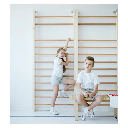 Wall bars, WxH 80x210 cm, 12 bars