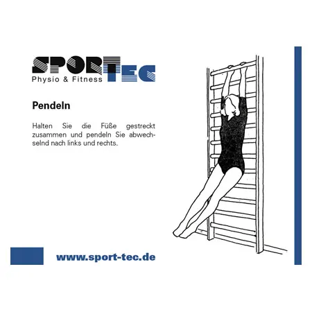 Wall bars, WxH 80x210 cm, 12 bars