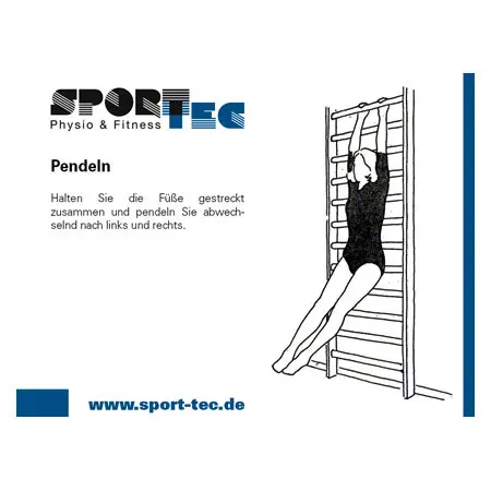 Wall bars combination, complete, 3-pcs.