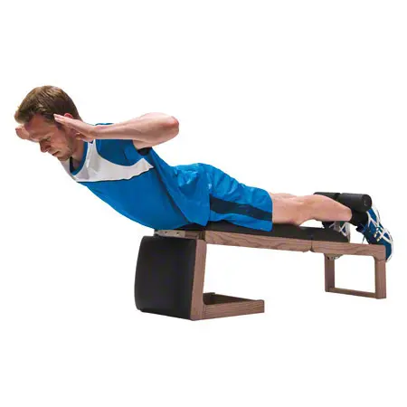 NOHrD Abdominal and Back Trainer Triatrainer, nut tree, pleather