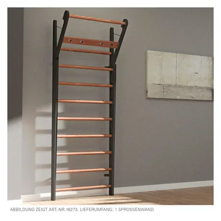 NOHrD Wall bars Club-Sport, foldout, HxWxD 230x80x13 cm, 14 bars
