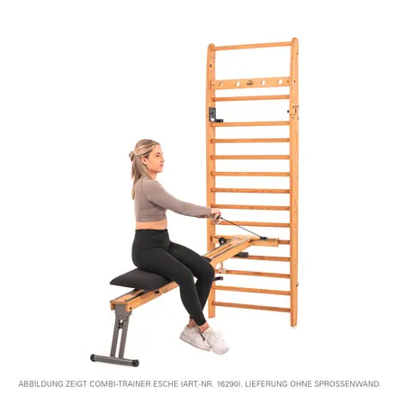 NOHrD Combi-Trainer for wall bars, ash