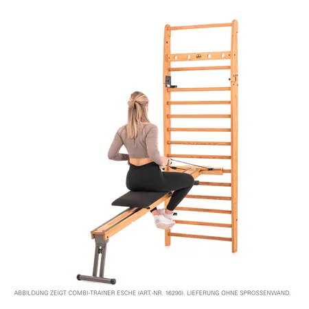 NOHrD Combi-Trainer for wall bars, oak