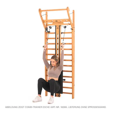 NOHrD Combi-Trainer for wall bars, nut tree