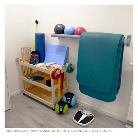 Gymnastics equipment trolleys exclusive without equipment