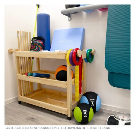 Gymnastics equipment trolleys exclusive without equipment