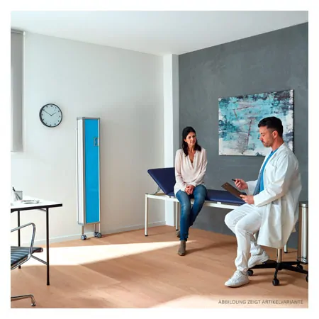 Folding wall flexible 5-bladed, HxW 165x150 cm, blue