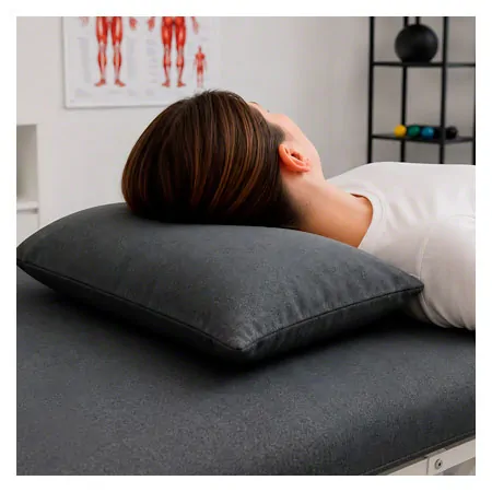 HygienePro pillow, 42x42x5 cm, carbon