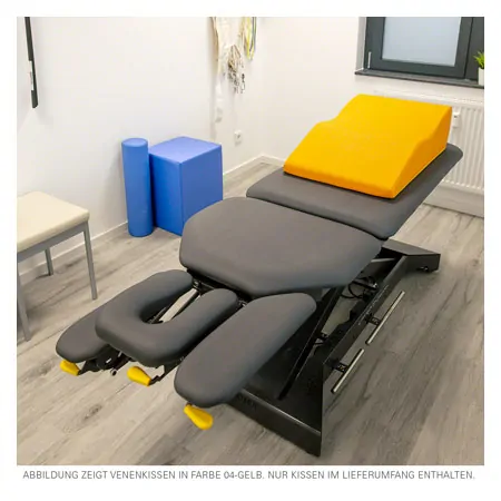 Vein cushion, LxWxH 67x55x22.5 cm