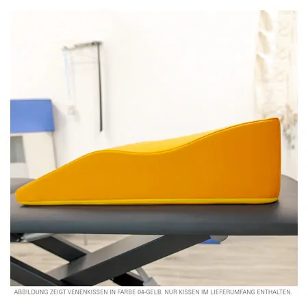 Vein cushion, LxWxH 67x55x22.5 cm