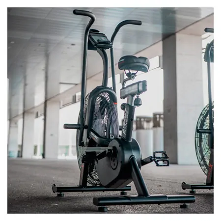 ASSAULT FITNESS AirBike Pro X