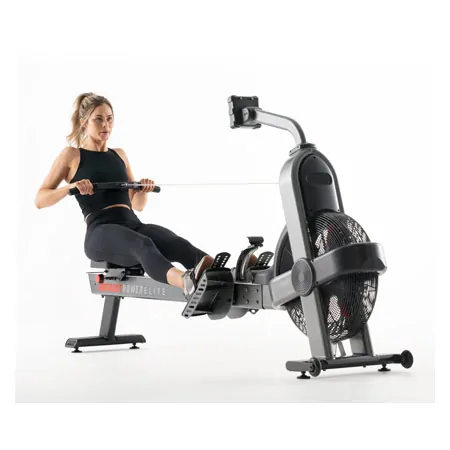 ASSAULT FITNESS Rower Elite rowing machine