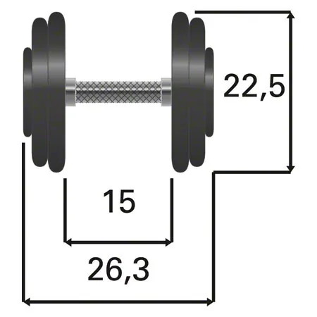 Dumbbells made of rubber, 17.5 kg, one piece