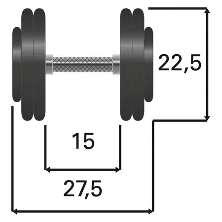 Dumbbells made of rubber, 20 kg, piece