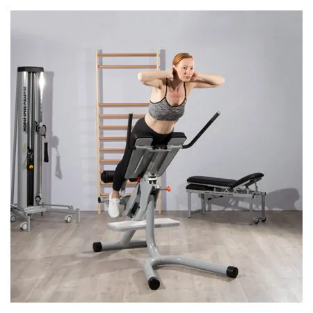 Sport-Tec rear torso lift